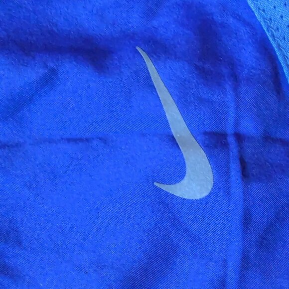 DRI-Fit Shorts - Picture 6 of 13